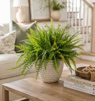 Custom Mixed Woods Fern