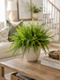 Custom Mixed Woods Fern