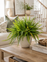 Custom Mixed Woods Fern