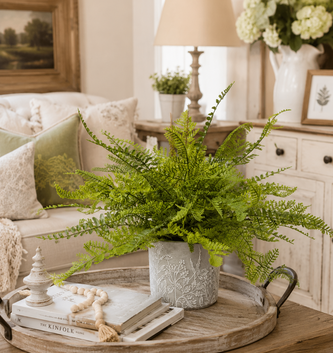 Custom Lace Fern in Green Wildflower Container
