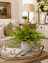 Custom Lace Fern in Green Wildflower Container
