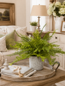 Custom Lace Fern in Green Wildflower Container