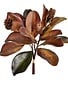 Fall Magnolia Leaf Bundle w/ Pinecone 17" Brown