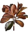 Fall Magnolia Leaf Bundle w/ Pinecone 17" Brown