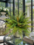 Custom Mixed Fern in Green Stoneware Container