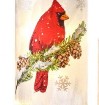 LED Frosted Glass Cardinal Cylinder (2 Styles)