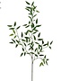 36" UV Protected Ruscus Spray