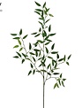 36" UV Protected Ruscus Spray
