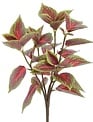 15" Coleus Bush