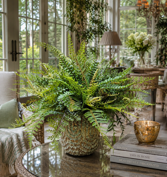Custom Mixed Fern in Drape Line Container