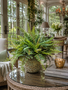 Custom Mixed Fern in Drape Line Container