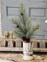 24" Southern Pine Spray