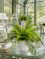 Custom Fern in White Ceramic Container