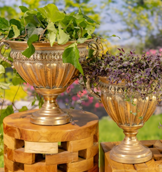 Golden Metal Liber Urn (2-Sizes)
