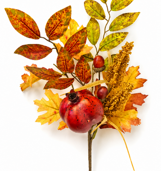 Fall Pomegranate Spray