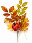 Fall Pomegranate Spray