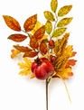 Fall Pomegranate Spray