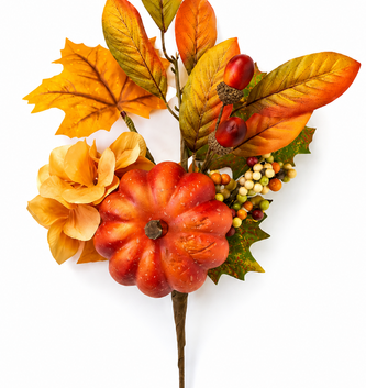 Fall Pumpkin Gourd Spray