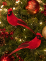 7" Clip Cardinal Ornament