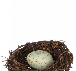 mini-nest-with-1-egg.jpg