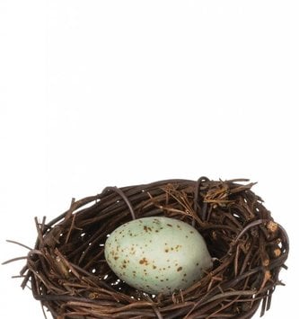 Mini Nest with 1 Egg