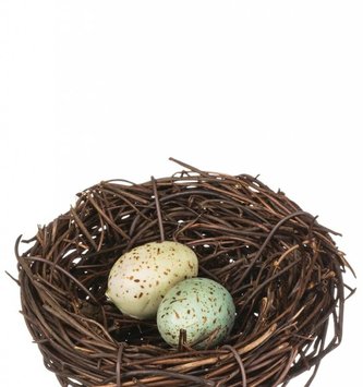 Mini Nest with 2 Eggs