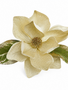 10" Clip on Golden Magnolia
