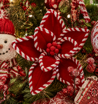 Peppermint Poinsettia