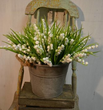 White Lily of the Valley Bush