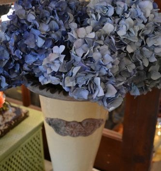 Pointed Petal Hydrangea (3 Colors)