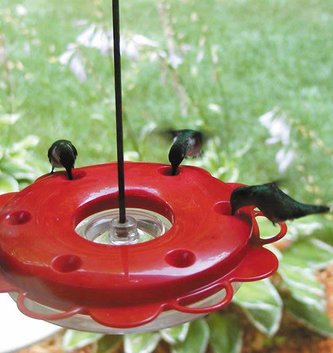 Hummerfest Hummingbird Feeder (2 Sizes)