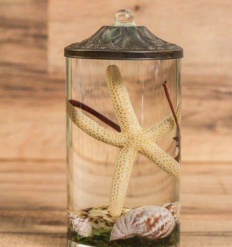 Mason Jar, with Straw & Lid, Blue, Glass, 450 mL - Market 99