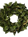 24" Magnolia Leaf Wreath