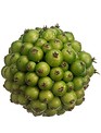 Green Berry Ball (2-Sizes)