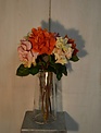 Cream Dutchess Rose