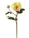 Large Dahlia Bloom w/ Bud