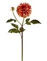 Large Dahlia Bloom w/ Bud
