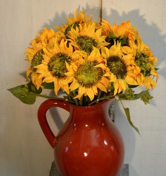 Short Stem Sunflower