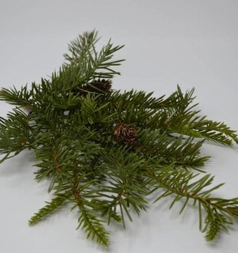 Douglas Fir Pick