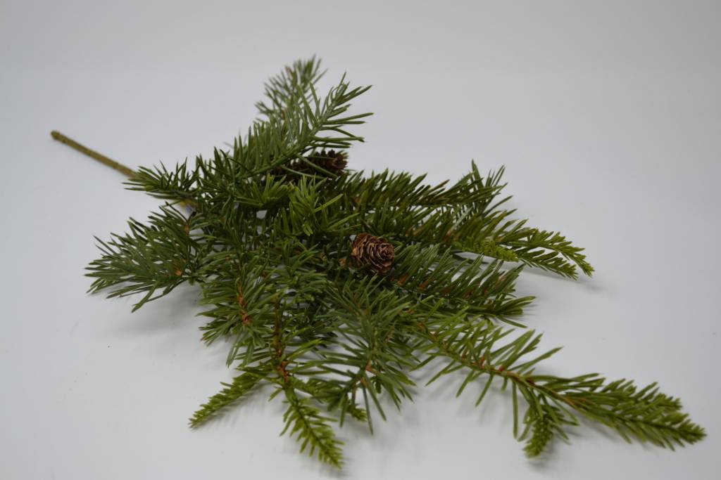 Douglas Fir Pick