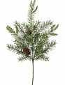 Douglas Fir Pick