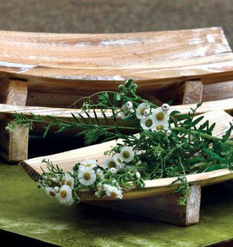 Curved Wooden Tray (3 Sizes)