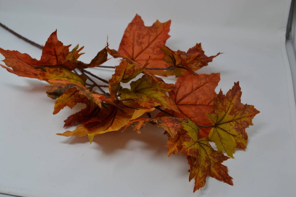 Autumn Maple Leaf Spray