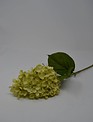 Cone Hydrangea Spray (2-Colors)
