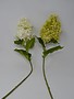 Cone Hydrangea Spray (2 Colors)