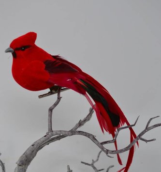 Clip-On Red Black Tail Cardinal