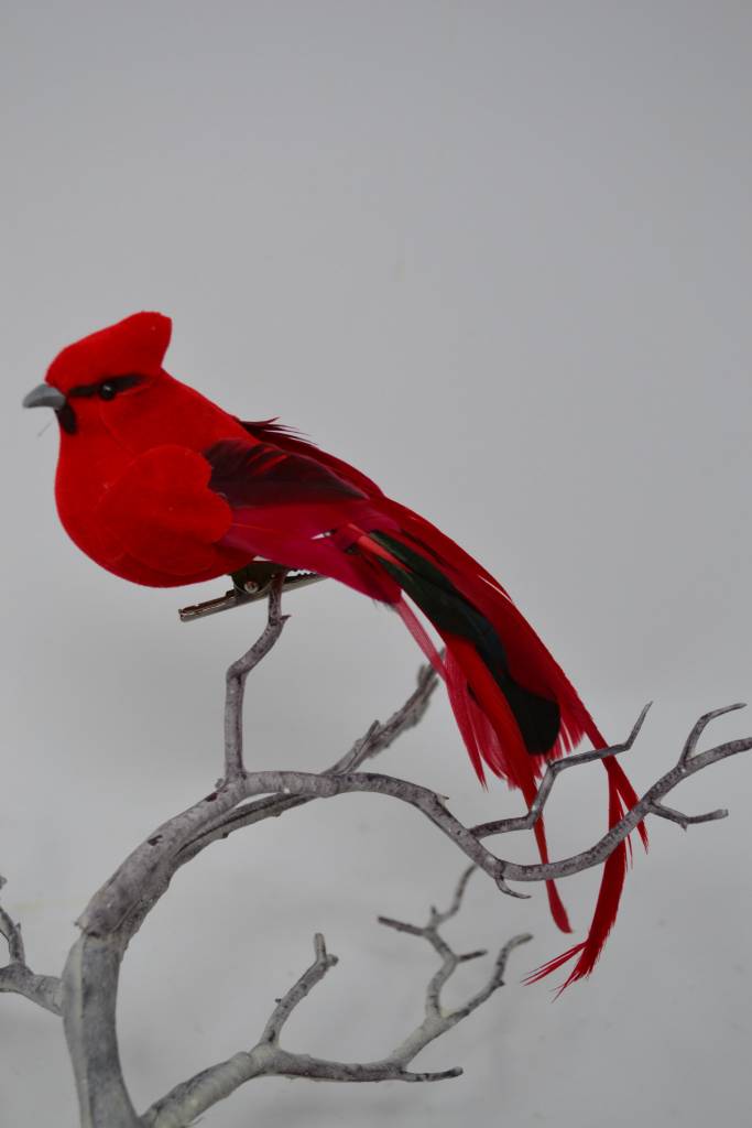 Clip-On Red Black Tail Cardinal