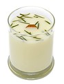 BedRock Tree Farm Frasier Fir Needle Soy Candle (4 Sizes)