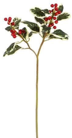 Variegated Mini Holly Spray