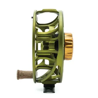 Animas Reel